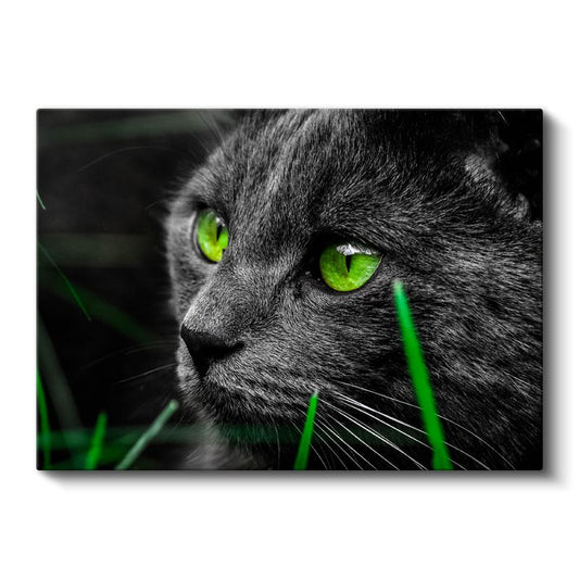 Zümrüt Bakış - Yeşil Gözlü Siyah Kedi Portresi Kanvas Tablo