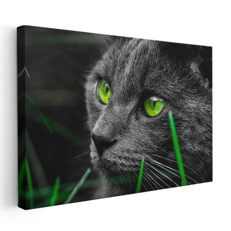 Zümrüt Bakış - Yeşil Gözlü Siyah Kedi Portresi Kanvas Tablo