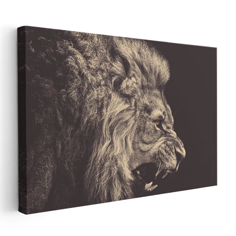 Öfkeli Aslan - Yakın Çekim Hırlayan Yırtıcı Portresi Kanvas Tablo