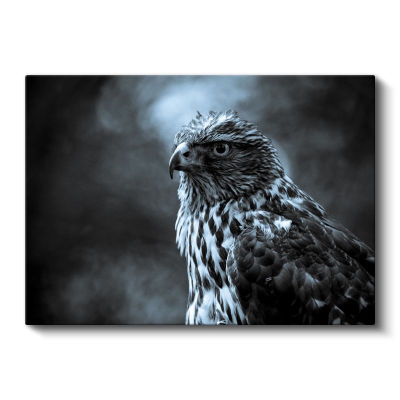 Keskin Bakışlı Kartal - Avcı Kuşun Asil Portresi Kanvas Tablo