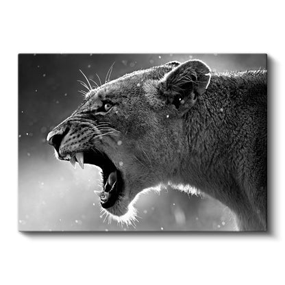 Kükreyen Aslan - Vahşi Doğanın Güçlü Sesi Kanvas Tablo