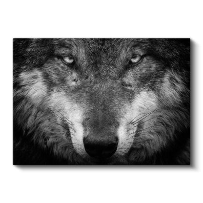 Kararlı Kurt - Hipnotize Eden Bakışlı Yırtıcı Portresi Kanvas Tablo