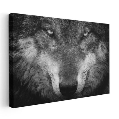 Kararlı Kurt - Hipnotize Eden Bakışlı Yırtıcı Portresi Kanvas Tablo
