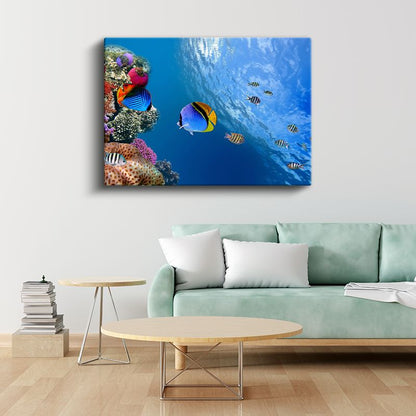 Mercan Cenneti - Renkli Tropik Balıklar Kanvas Tablo