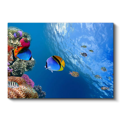 Mercan Cenneti - Renkli Tropik Balıklar Kanvas Tablo