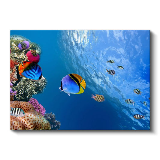Mercan Cenneti - Renkli Tropik Balıklar Kanvas Tablo