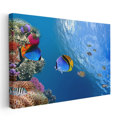 Mercan Cenneti - Renkli Tropik Balıklar Kanvas Tablo