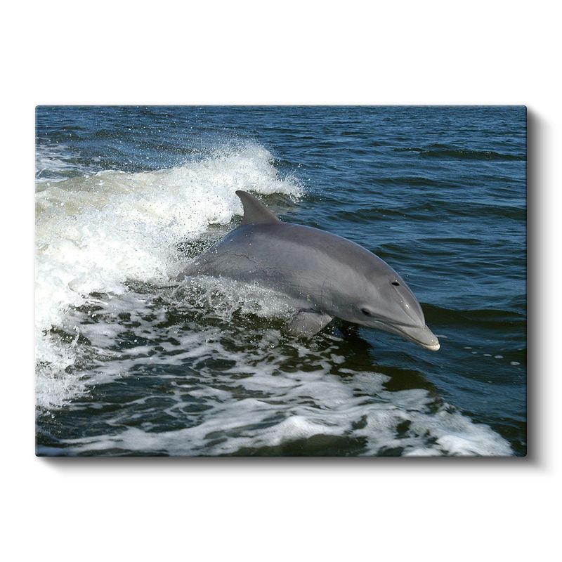 Özgür Yunus - Dalgalar Arasında Dans Eden Deniz Memelisi Kanvas Tablo