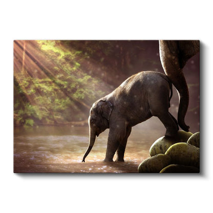 Yavru Fil - Nehirde İlk Adımlarını Atan Sevimli Bebek Kanvas Tablo