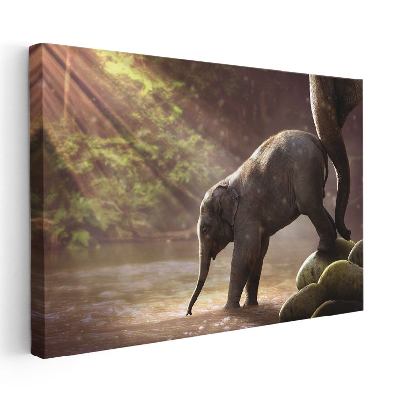 Yavru Fil - Nehirde İlk Adımlarını Atan Sevimli Bebek Kanvas Tablo