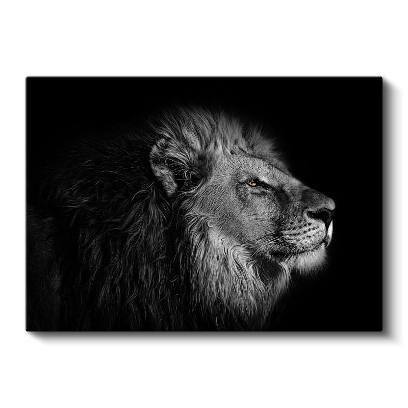 Asil Aslan - Profil Açısından Ormanlar Kralı Kanvas Tablo