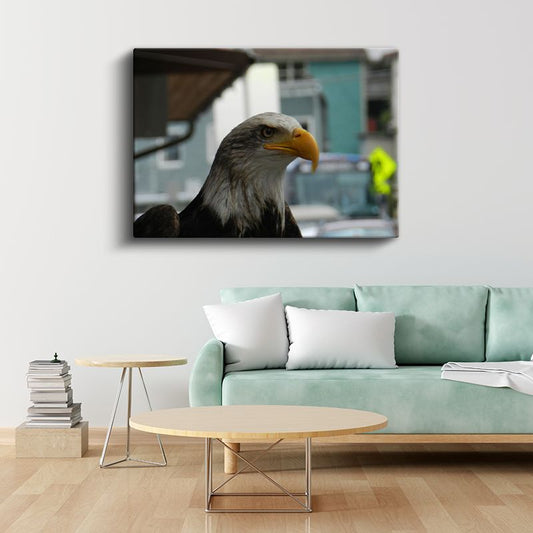 Amerikan Kartalı - Keskin Bakışlı Yırtıcı Kuş Kanvas Tablo