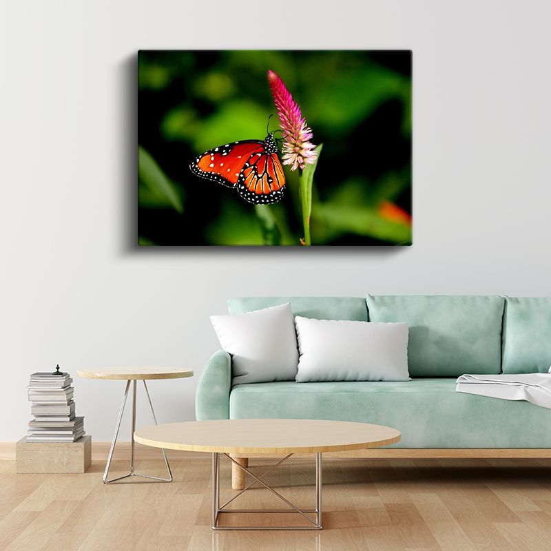Kral Kelebeği - Turuncu Kanatları Açık Nektar Avcısı Kanvas Tablo