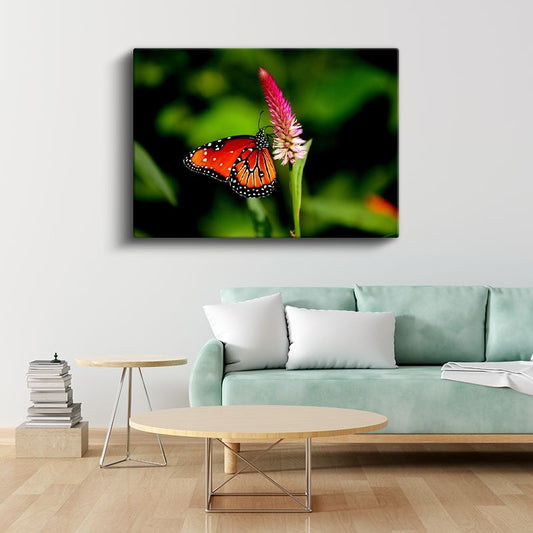 Kral Kelebeği - Turuncu Kanatları Açık Nektar Avcısı Kanvas Tablo