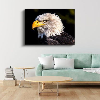 Kartal Profili - Sarı Gagalı Yırtıcı Kuş Yakın Çekim Kanvas Tablo