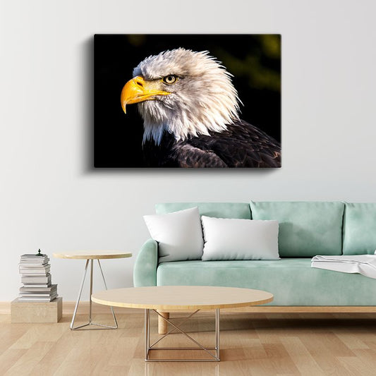 Kartal Profili - Sarı Gagalı Yırtıcı Kuş Yakın Çekim Kanvas Tablo