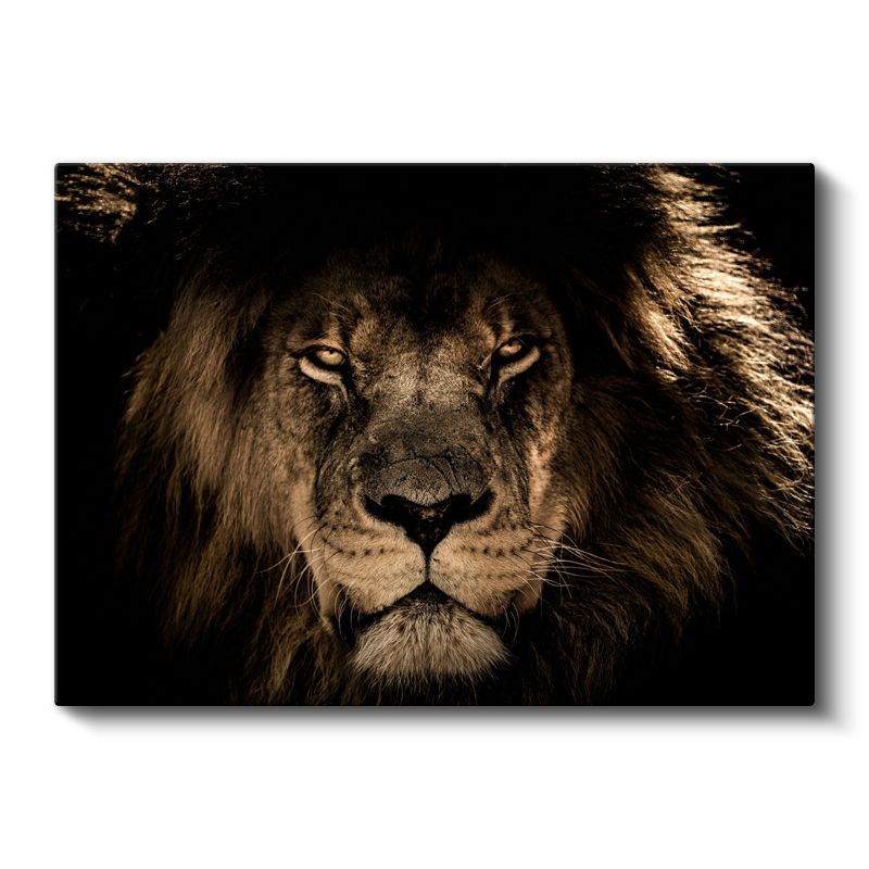 Aslan Yüzü - Karanlıkta Parlayan Gözlü Ormanlar Kralı Kanvas Tablo