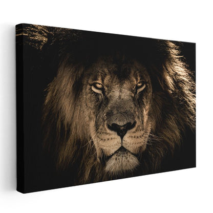 Aslan Yüzü - Karanlıkta Parlayan Gözlü Ormanlar Kralı Kanvas Tablo