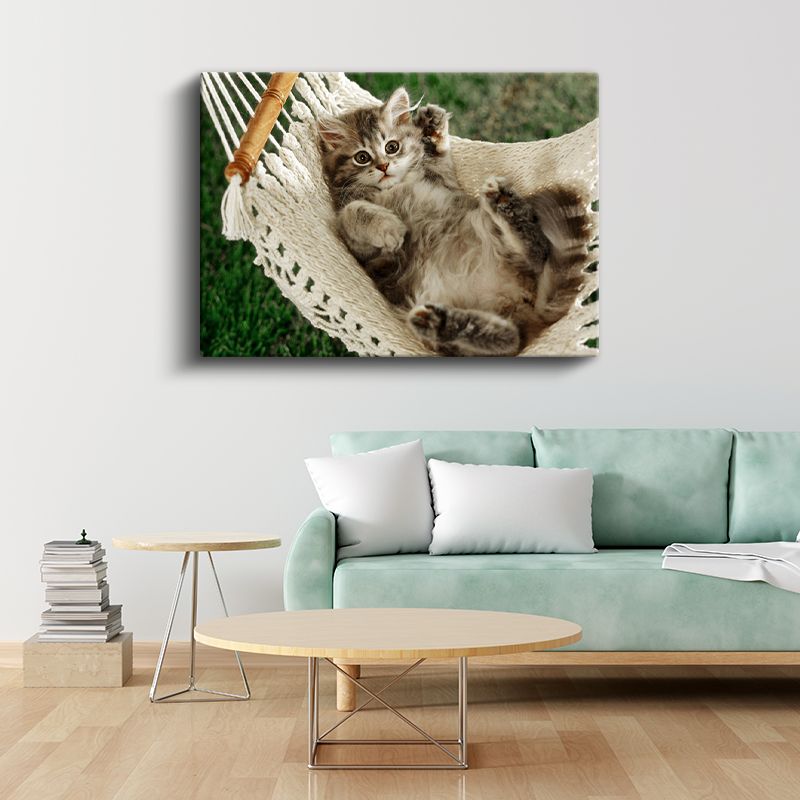 Hamaktaki Yavru - Sevimli Tüylü Kedi Yavrusu Kanvas Tablo