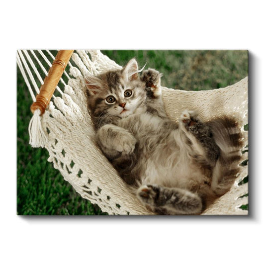 Hamaktaki Yavru - Sevimli Tüylü Kedi Yavrusu Kanvas Tablo