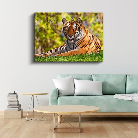 Dinlenen Kaplan - Çimenlerde Uzanan Çizgili Yırtıcı Kanvas Tablo