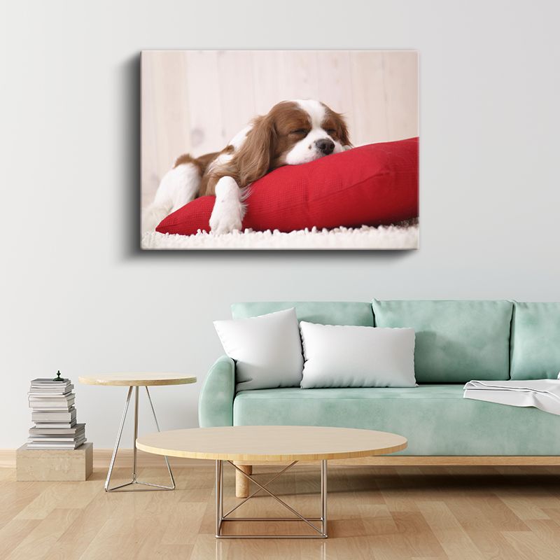 Uykucu Köpek - Kırmızı Yastıkta Huzurlu Cavalier Spaniel Kanvas Tablo