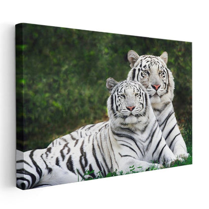 Beyaz Kaplanlar - Yan Yana Uzanan Çizgili İkili Kanvas Tablo