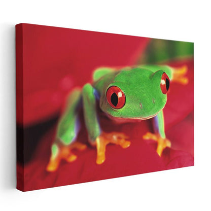Kırmızı Gözlü Kurbağa - Yaprak Üzerinde Parlak Yeşil Amfibi Kanvas Tablo