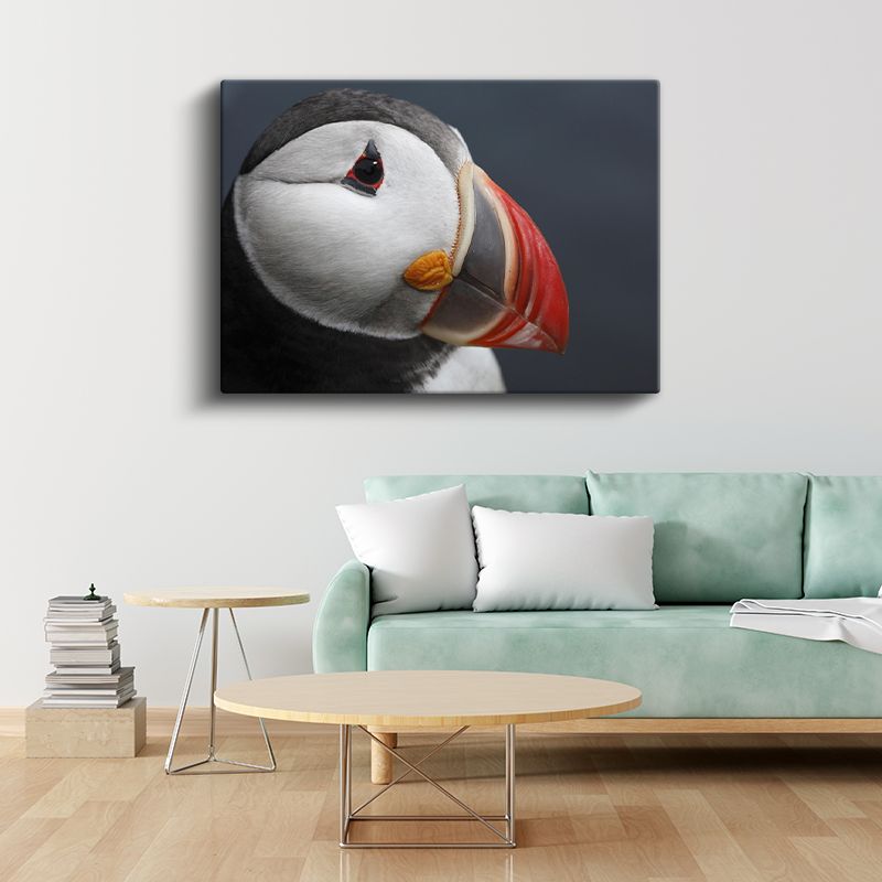 Deniz Papağanı - Renkli Gagalı Okyanus Kuşu Kanvas Tablo