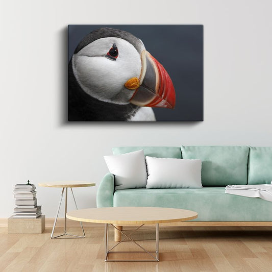 Deniz Papağanı - Renkli Gagalı Okyanus Kuşu Kanvas Tablo