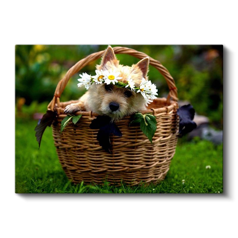 Sepetteki Yavru - Papatya Taçlı Sevimli Köpek Kanvas Tablo