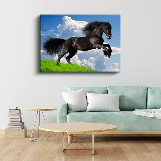 Şaha Kalkan At - Yeşil Çayırda Özgür Siyah Aygır Kanvas Tablo