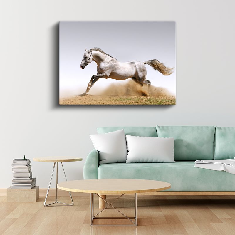 Beyaz Aygır - Tozlu Arazide Koşan Zarif At Kanvas Tablo