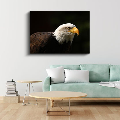 Asil Kartal - Keskin Gagalı Avcı Kuş Kanvas Tablo