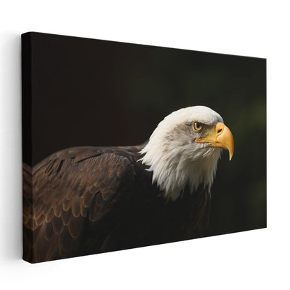 Asil Kartal - Keskin Gagalı Avcı Kuş Kanvas Tablo