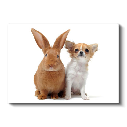 Sevimli İkili - Tavşan ve Chihuahua Dostluğu Kanvas Tablo