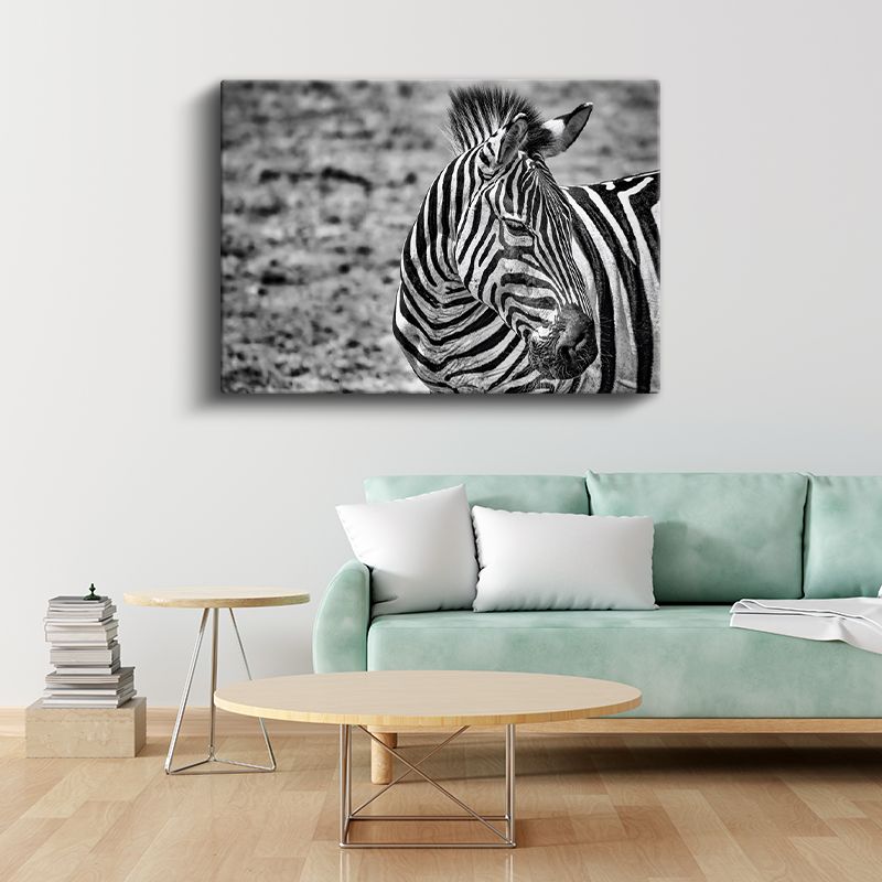Zebra Profili - Siyah Beyaz Çizgili Portre Kanvas Tablo