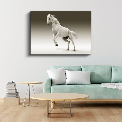 Beyaz Güzellik - Şaha Kalkan Asil At Kanvas Tablo