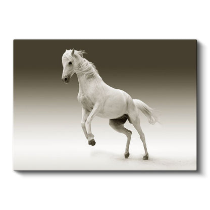 Beyaz Güzellik - Şaha Kalkan Asil At Kanvas Tablo