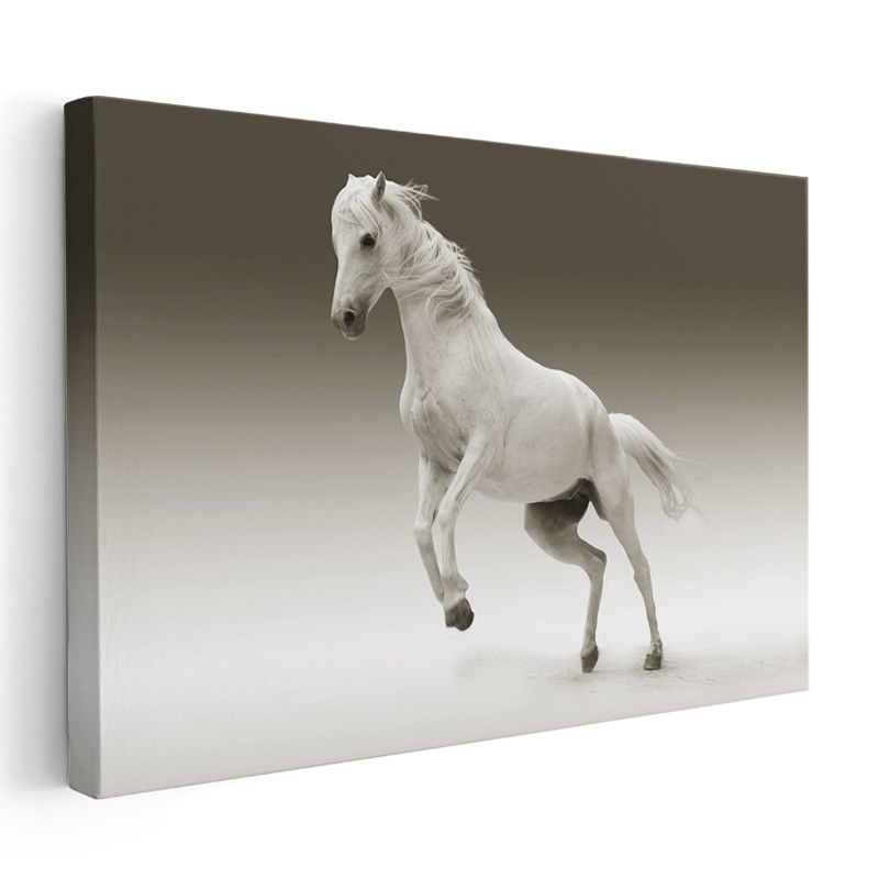 Beyaz Güzellik - Şaha Kalkan Asil At Kanvas Tablo