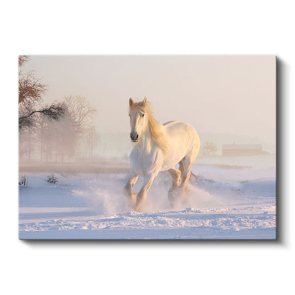 Kış Koşusu - Karlı Zeminde İlerleyen Beyaz At Kanvas Tablo