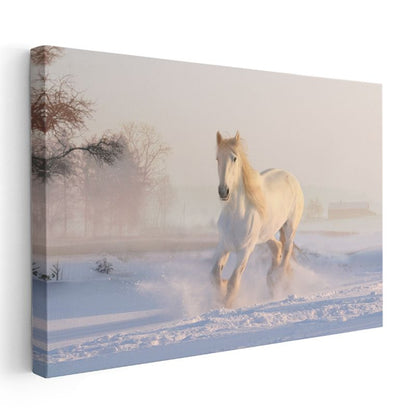 Kış Koşusu - Karlı Zeminde İlerleyen Beyaz At Kanvas Tablo