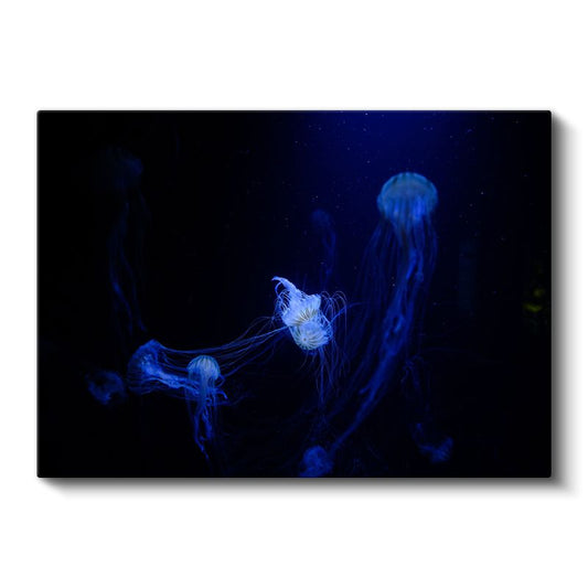 Derin Denizler - Parlak Mavi Denizanaları Kanvas Tablo