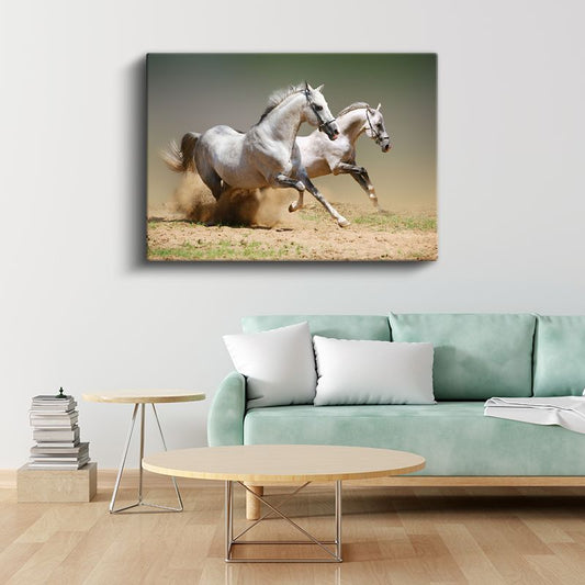 Beyaz İkili - Toprakta Koşan Arap Atları Kanvas Tablo