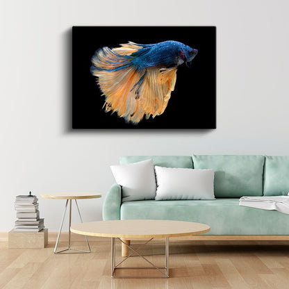 Yelpazelenmiş Yüzgeçler - Mavi Turuncu Beta Balığı Kanvas Tablo