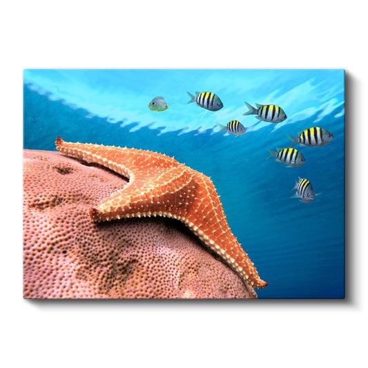 Mercan Resifi - Deniz Yıldızı ve Çizgili Balıklar Kanvas Tablo