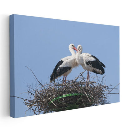 Yuva Sakinleri - Sevgi Dolu Leylek Çifti Kanvas Tablo