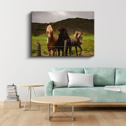 Çayır Dostları - Çit Kenarındaki Üç At Kanvas Tablo