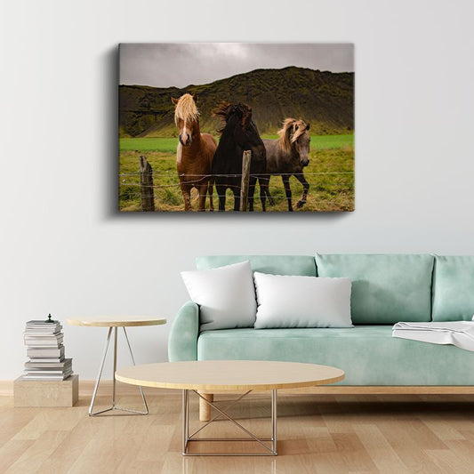 Çayır Dostları - Çit Kenarındaki Üç At Kanvas Tablo
