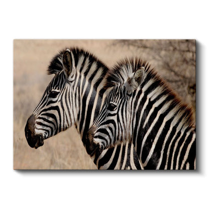 Çizgili İkili - Yan Yana Zebra Portresi Kanvas Tablo
